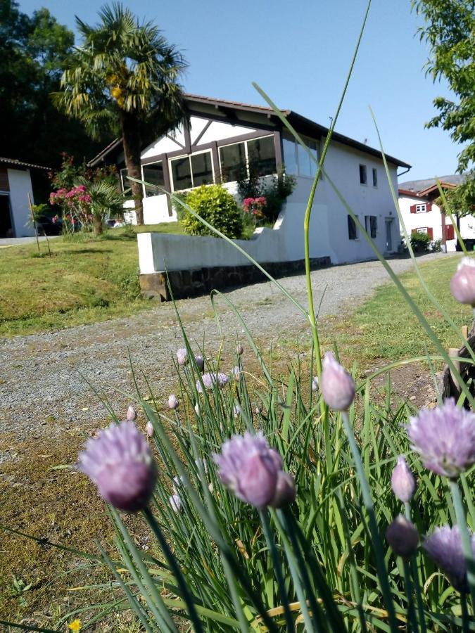 Gite Etxe Xuri Ossès Dış mekan fotoğraf